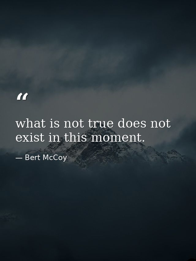 what is not true does not exist in this moment. — Bert McCoy