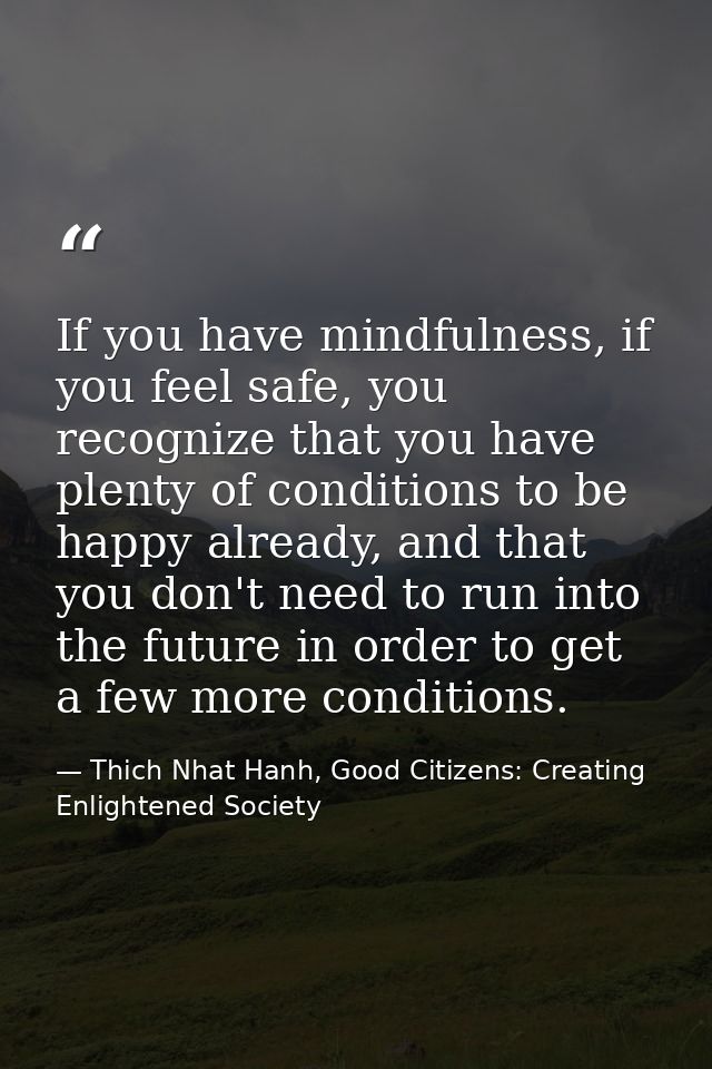 If you have mindfulness, if you feel safe, you recognize that you have plenty of conditions to be happy already, and tha — Thich Nhat Hanh, Good Citizens: Creating Enlightened Society