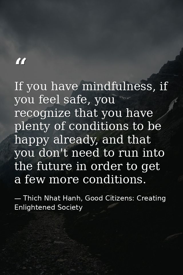 If you have mindfulness, if you feel safe, you recognize that you have plenty of conditions to be happy already, and tha — Thich Nhat Hanh, Good Citizens: Creating Enlightened Society