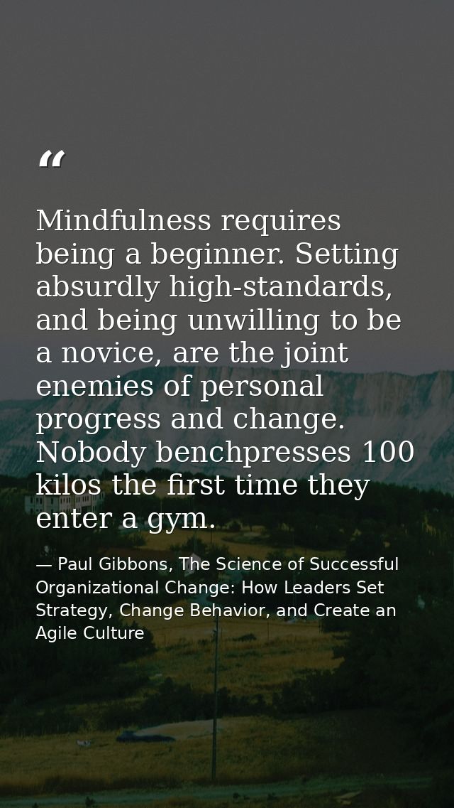 Mindfulness requires being a beginner. Setting absurdly high-standards, and being unwilling to be a novice, are the join — Paul Gibbons, The Science of Successful Organizational Change: How Leaders Set Strategy, Change Behavior, and Create an Agile Culture