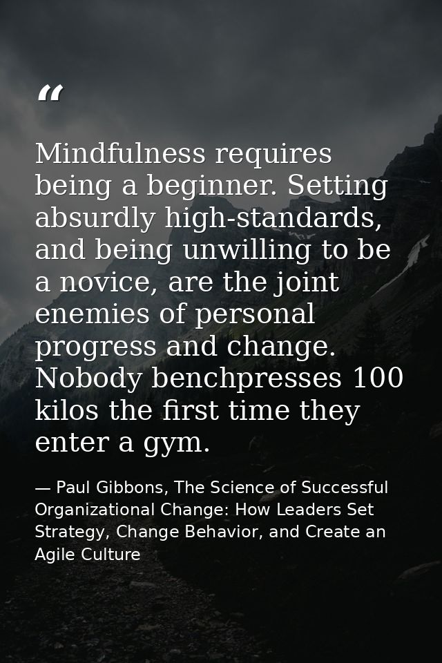 Mindfulness requires being a beginner. Setting absurdly high-standards, and being unwilling to be a novice, are the join — Paul Gibbons, The Science of Successful Organizational Change: How Leaders Set Strategy, Change Behavior, and Create an Agile Culture