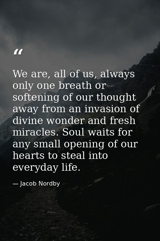 We are, all of us, always only one breath or softening of our thought away from an invasion of divine wonder and fresh m — Jacob Nordby