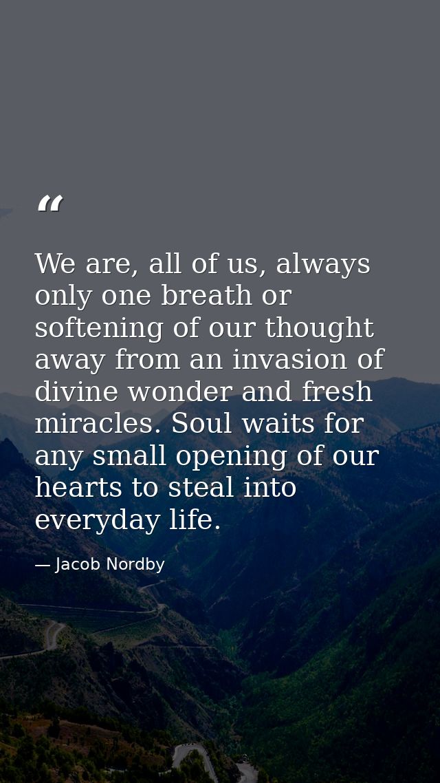 We are, all of us, always only one breath or softening of our thought away from an invasion of divine wonder and fresh m — Jacob Nordby