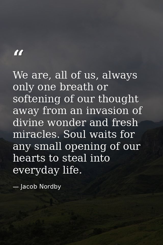We are, all of us, always only one breath or softening of our thought away from an invasion of divine wonder and fresh m — Jacob Nordby