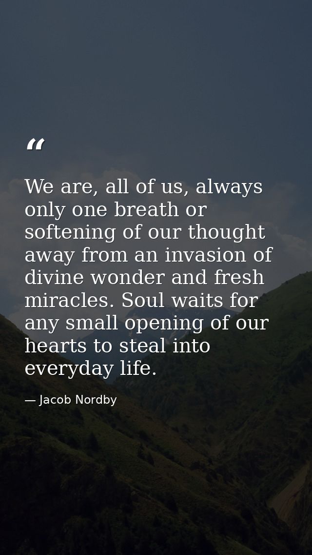 We are, all of us, always only one breath or softening of our thought away from an invasion of divine wonder and fresh m — Jacob Nordby