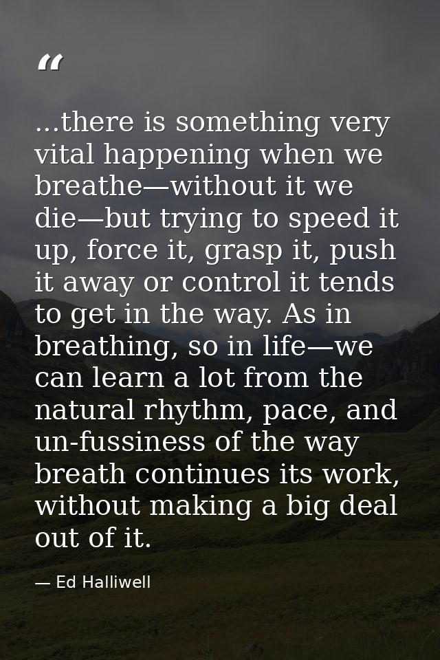 ...there is something very vital happening when we breathe—without it we die—but trying to speed it up, force it, grasp  — Ed Halliwell