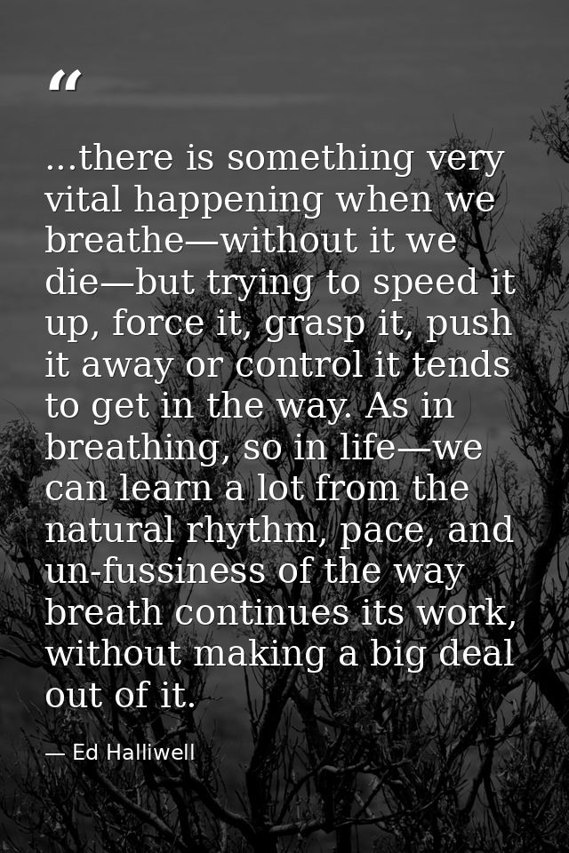 ...there is something very vital happening when we breathe—without it we die—but trying to speed it up, force it, grasp  — Ed Halliwell