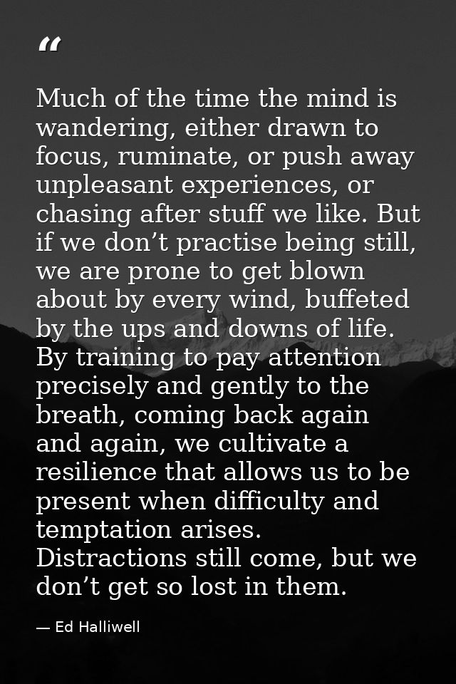 Much of the time the mind is wandering, either drawn to focus, ruminate, or push away unpleasant experiences, or chasing — Ed Halliwell
