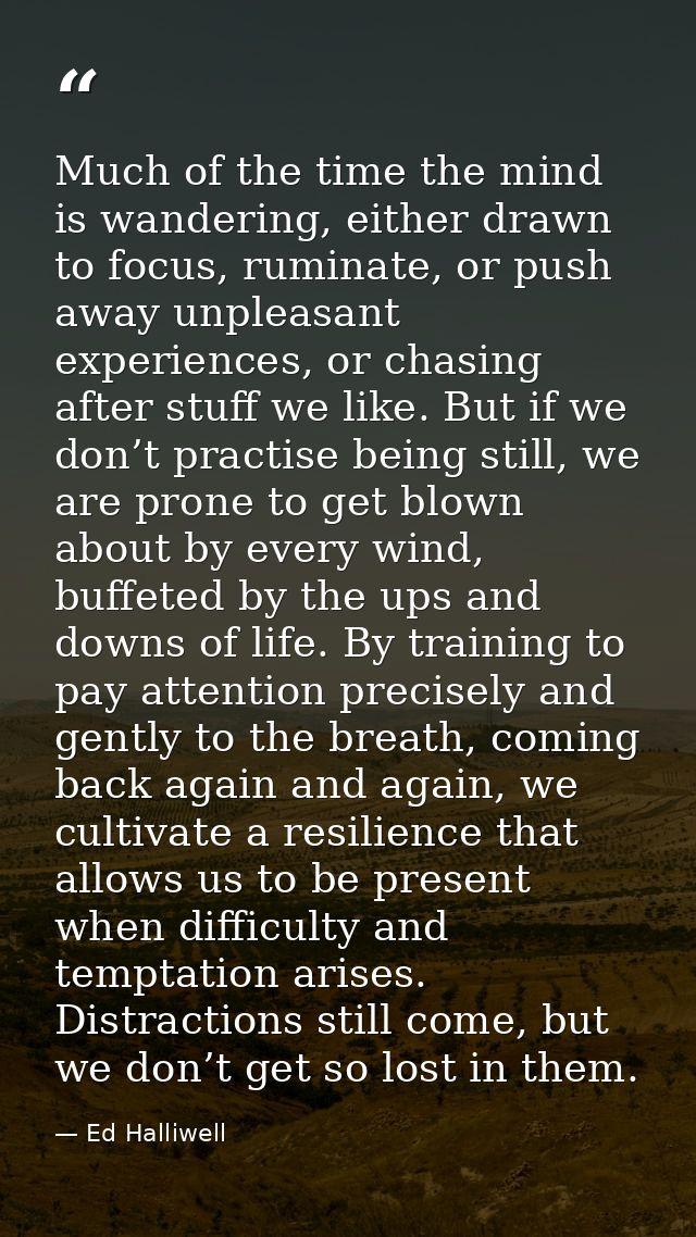 Much of the time the mind is wandering, either drawn to focus, ruminate, or push away unpleasant experiences, or chasing — Ed Halliwell