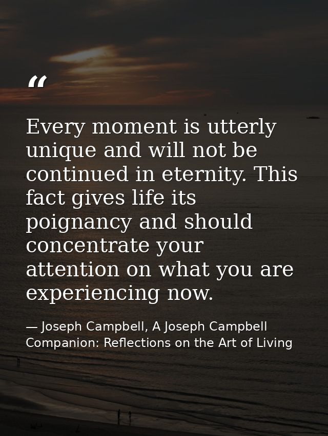Every moment is utterly unique and will not be continued in eternity. This fact gives life its poignancy and should conc — Joseph Campbell, A Joseph Campbell Companion: Reflections on the Art of Living