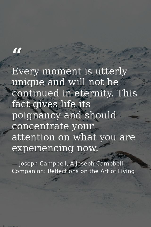 Every moment is utterly unique and will not be continued in eternity. This fact gives life its poignancy and should conc — Joseph Campbell, A Joseph Campbell Companion: Reflections on the Art of Living