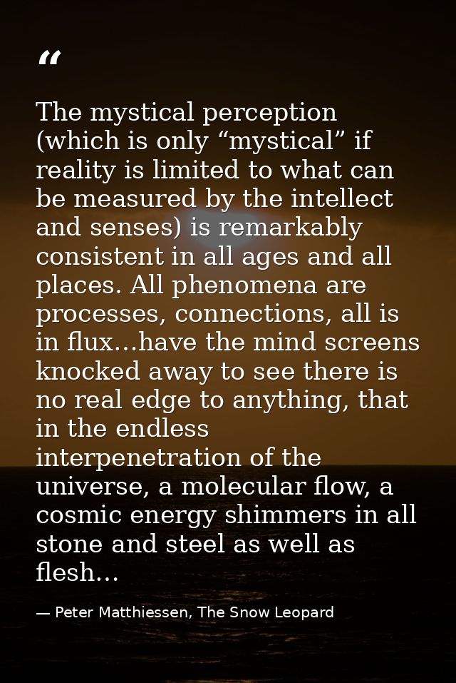 The mystical perception (which is only “mystical” if reality is limited to what can be measured by the intellect and sen — Peter Matthiessen, The Snow Leopard
