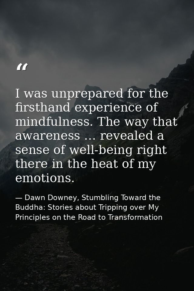 I was unprepared for the firsthand experience of mindfulness. The way that awareness … revealed a sense of well-being ri — Dawn Downey, Stumbling Toward the Buddha: Stories about Tripping over My Principles on the Road to Transformation