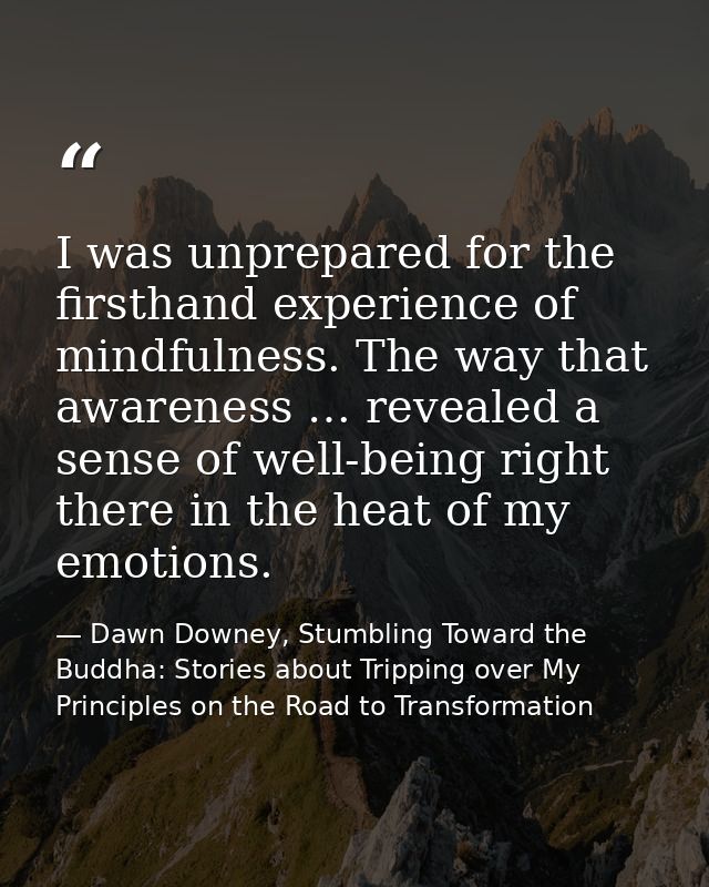 I was unprepared for the firsthand experience of mindfulness. The way that awareness … revealed a sense of well-being ri — Dawn Downey, Stumbling Toward the Buddha: Stories about Tripping over My Principles on the Road to Transformation