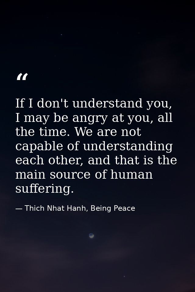 If I don't understand you, I may be angry at you, all the time. We are not capable of understanding each other, and that — Thich Nhat Hanh, Being Peace