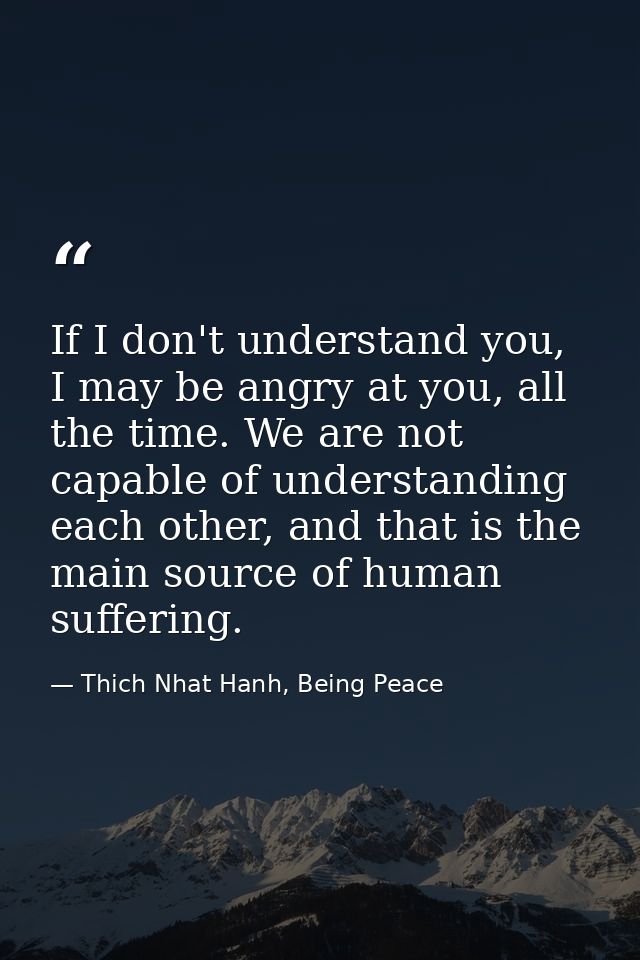 If I don't understand you, I may be angry at you, all the time. We are not capable of understanding each other, and that — Thich Nhat Hanh, Being Peace