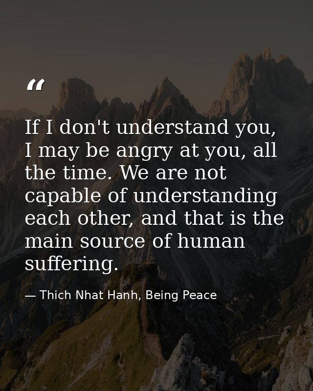 If I don't understand you, I may be angry at you, all the time. We are not capable of understanding each other, and that — Thich Nhat Hanh, Being Peace