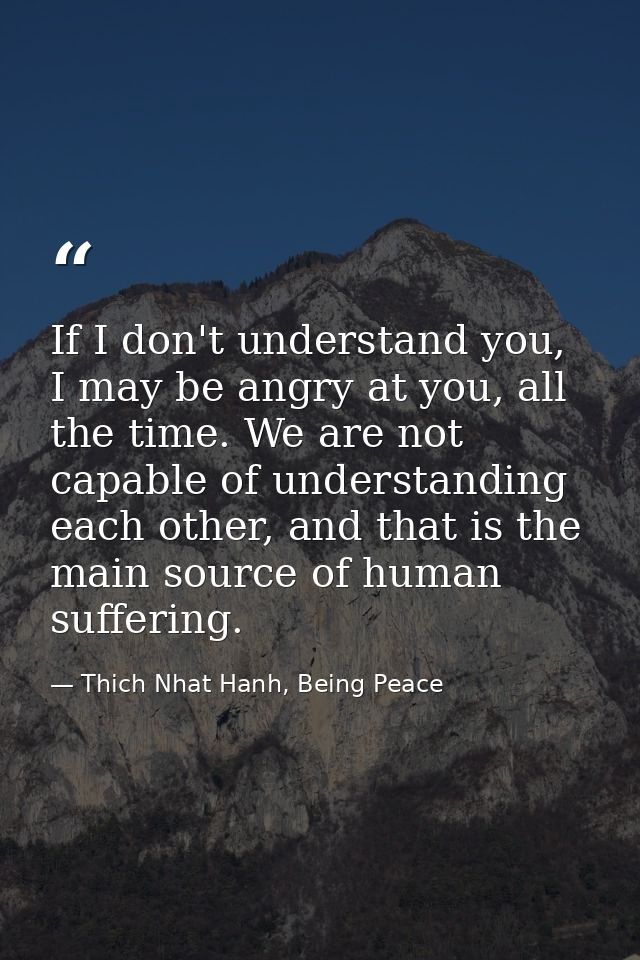 If I don't understand you, I may be angry at you, all the time. We are not capable of understanding each other, and that — Thich Nhat Hanh, Being Peace