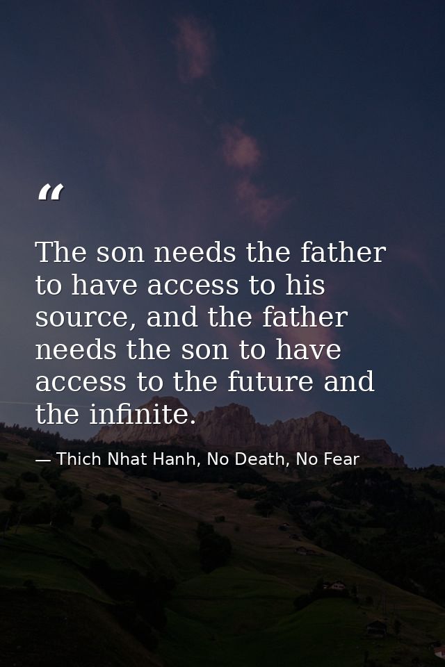 The son needs the father to have access to his source, and the father needs the son to have access to the future and the — Thich Nhat Hanh, No Death, No Fear
