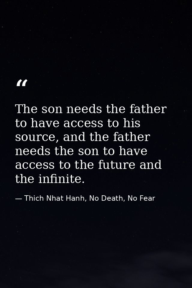 The son needs the father to have access to his source, and the father needs the son to have access to the future and the — Thich Nhat Hanh, No Death, No Fear