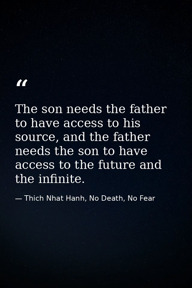 The son needs the father to have access to his source, and the father needs the son to have access to the future and the — Thich Nhat Hanh, No Death, No Fear