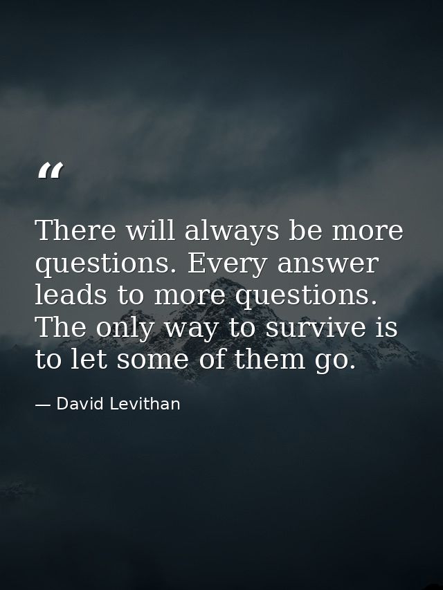There will always be more questions. Every answer leads to more questions. The only way to survive is to let some of the — David Levithan