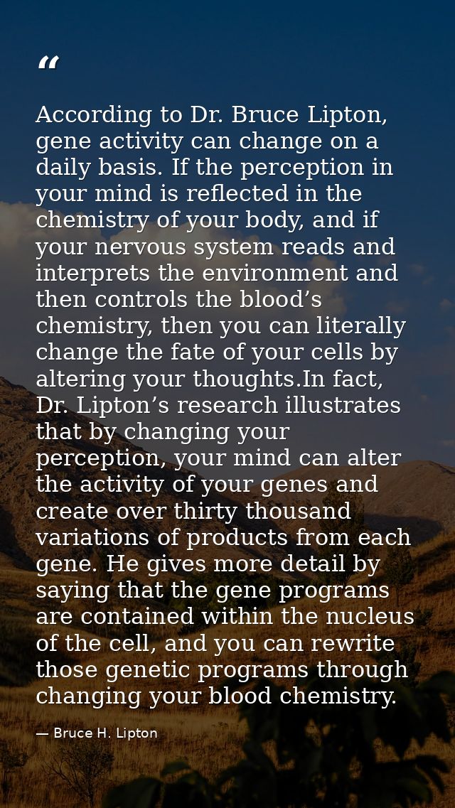 According to Dr. Bruce Lipton, gene activity can change on a daily basis. If the perception in your mind is reflected in — Bruce H. Lipton