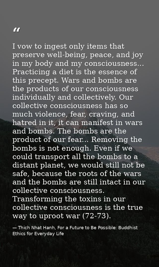 I vow to ingest only items that preserve well-being, peace, and joy in my body and my consciousness... Practicing a diet — Thich Nhat Hanh, For a Future to Be Possible: Buddhist Ethics for Everyday Life