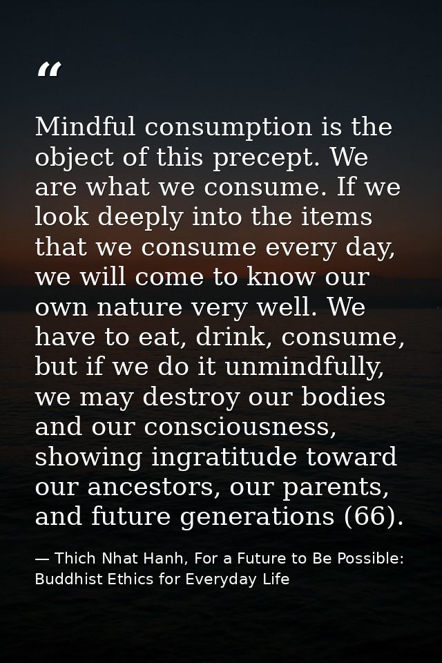 Mindful consumption is the object of this precept. We are what we consume. If we look deeply into the items that we cons — Thich Nhat Hanh, For a Future to Be Possible: Buddhist Ethics for Everyday Life