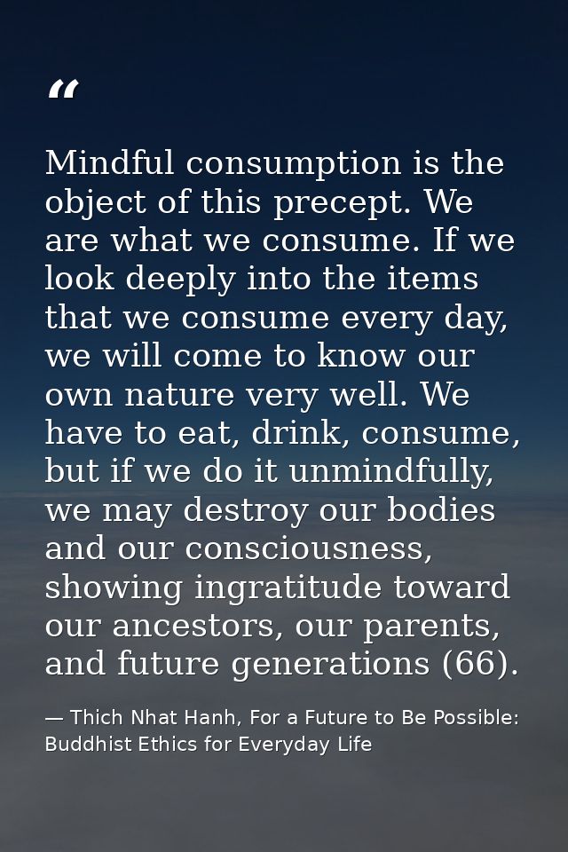Mindful consumption is the object of this precept. We are what we consume. If we look deeply into the items that we cons — Thich Nhat Hanh, For a Future to Be Possible: Buddhist Ethics for Everyday Life
