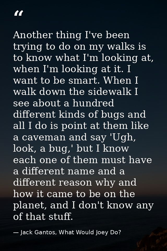 Another thing I've been trying to do on my walks is to know what I'm looking at, when I'm looking at it. I want to be sm — Jack Gantos, What Would Joey Do?