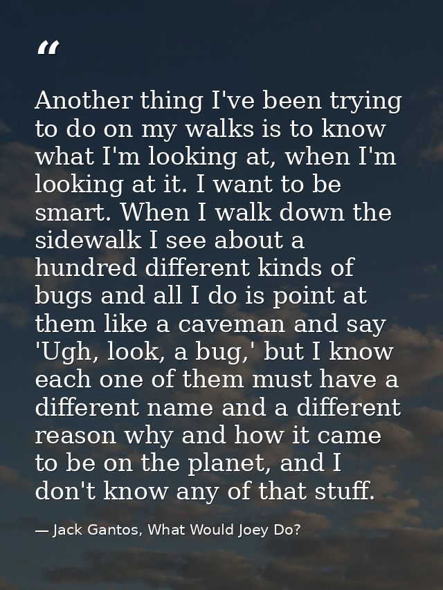 Another thing I've been trying to do on my walks is to know what I'm looking at, when I'm looking at it. I want to be sm — Jack Gantos, What Would Joey Do?