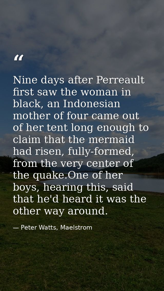 Nine days after Perreault first saw the woman in black, an Indonesian mother of four came out of her tent long enough to — Peter Watts, Maelstrom