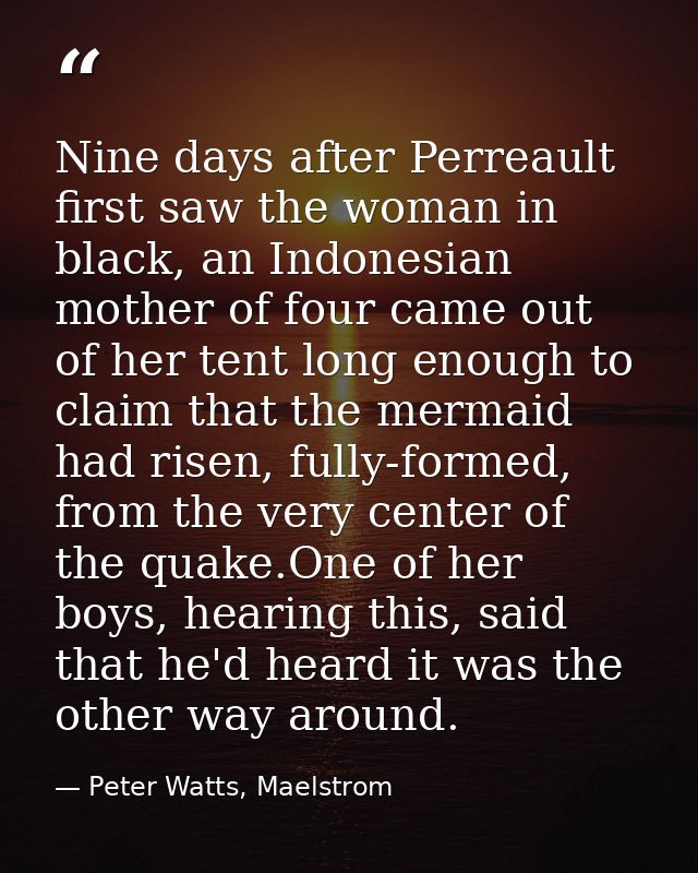 Nine days after Perreault first saw the woman in black, an Indonesian mother of four came out of her tent long enough to — Peter Watts, Maelstrom