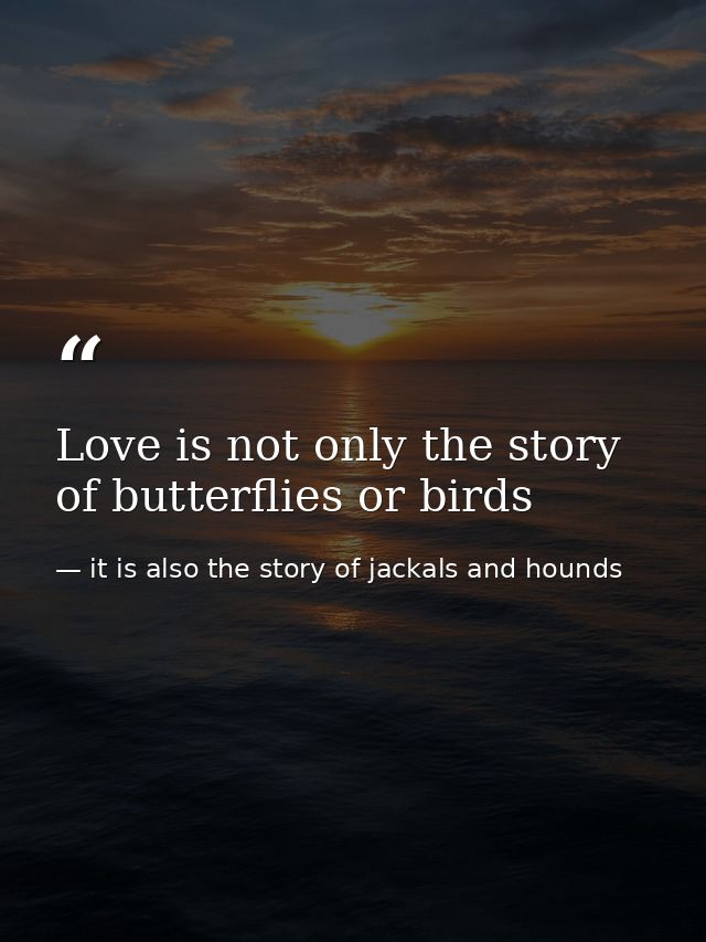 Love is not only the story of butterflies or birds — it is also the story of jackals and hounds