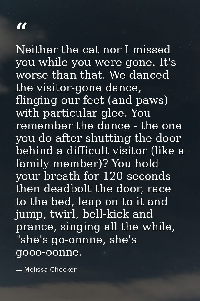 Neither the cat nor I missed you while you were gone. It's worse than that. We danced the visitor-gone dance, flinging o — Melissa Checker