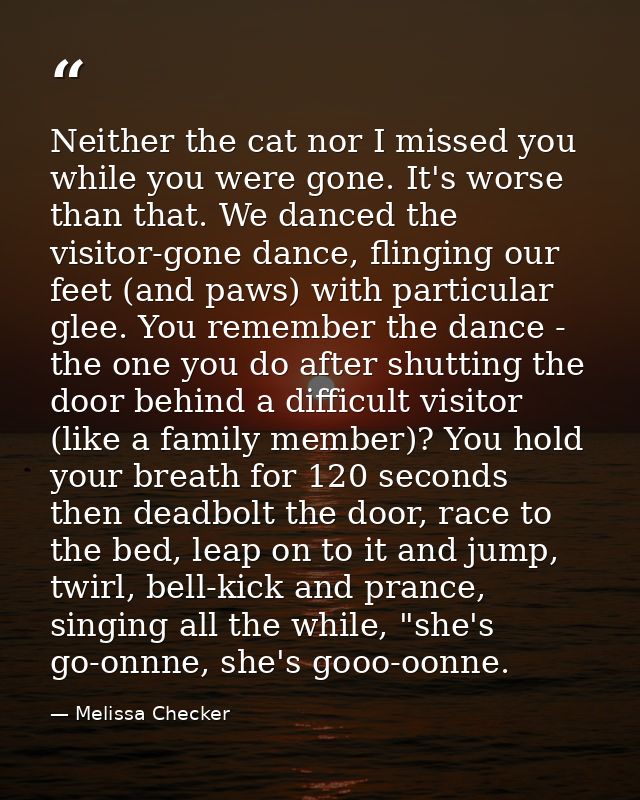 Neither the cat nor I missed you while you were gone. It's worse than that. We danced the visitor-gone dance, flinging o — Melissa Checker
