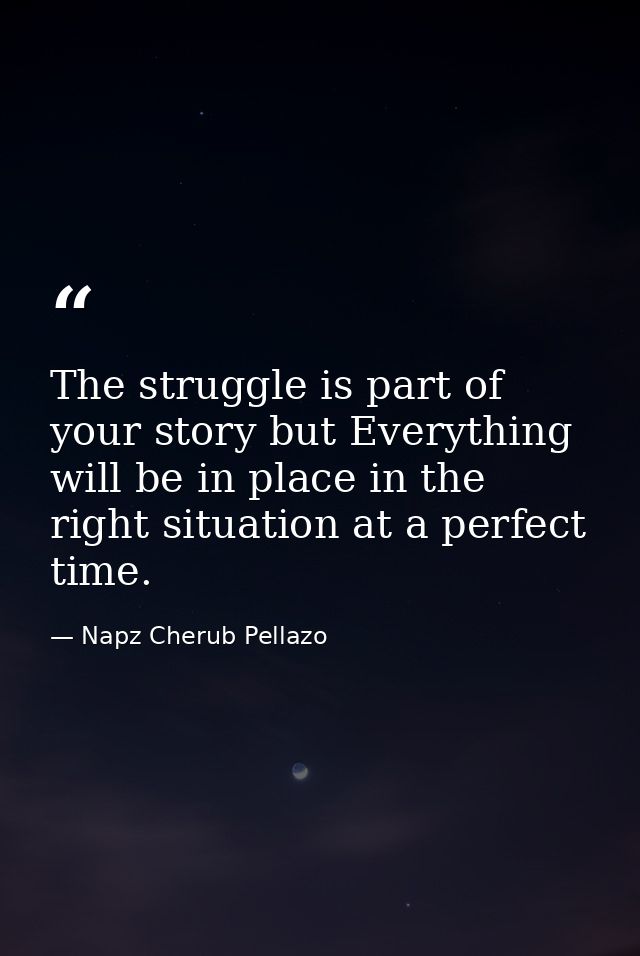 The struggle is part of your story but Everything will be in place in the right situation at a perfect time. — Napz Cherub Pellazo