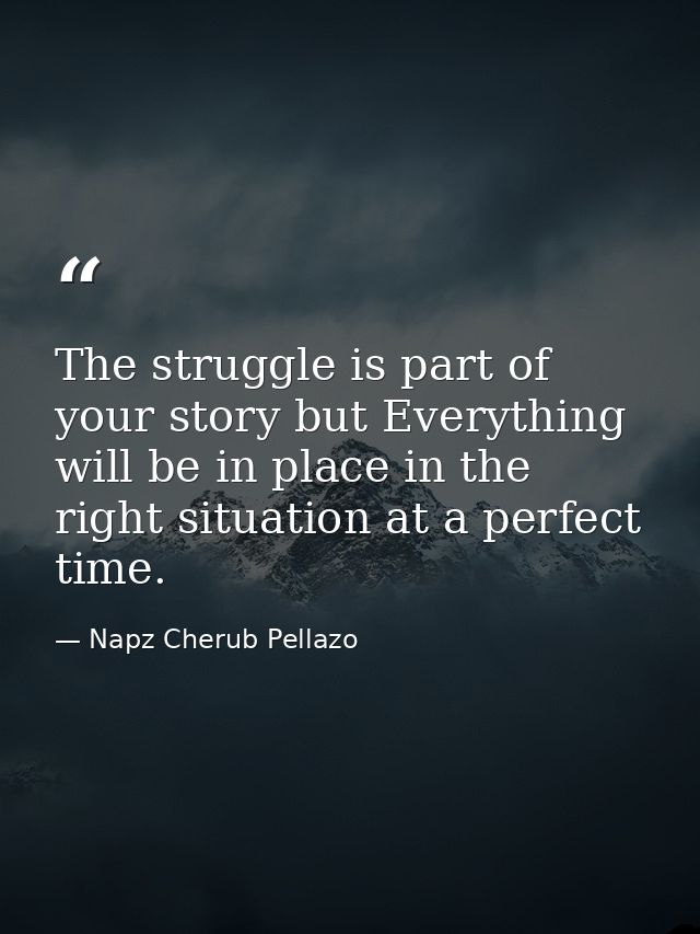 The struggle is part of your story but Everything will be in place in the right situation at a perfect time. — Napz Cherub Pellazo