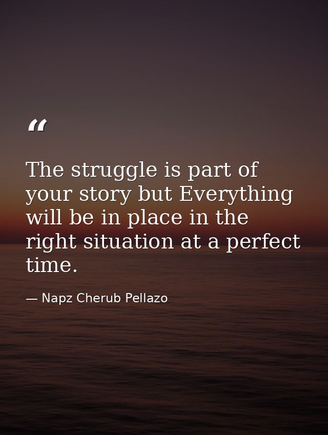 The struggle is part of your story but Everything will be in place in the right situation at a perfect time. — Napz Cherub Pellazo