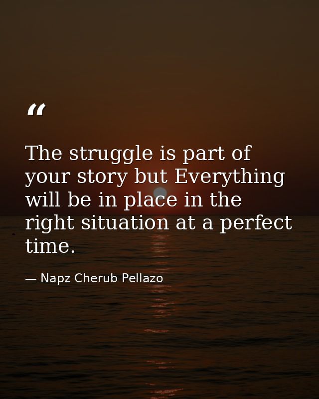 The struggle is part of your story but Everything will be in place in the right situation at a perfect time. — Napz Cherub Pellazo