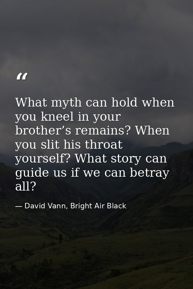 What myth can hold when you kneel in your brother’s remains? When you slit his throat yourself? What story can guide us  — David Vann, Bright Air Black