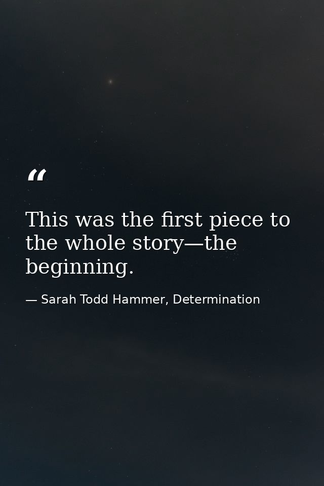 This was the first piece to the whole story—the beginning. — Sarah Todd Hammer, Determination