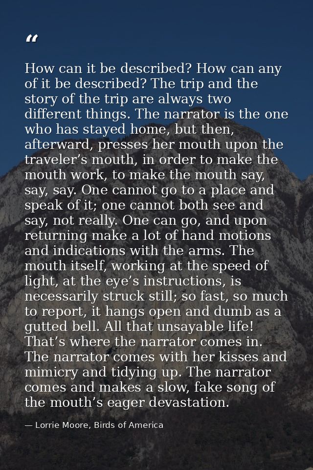 How can it be described? How can any of it be described? The trip and the story of the trip are always two different thi — Lorrie Moore, Birds of America