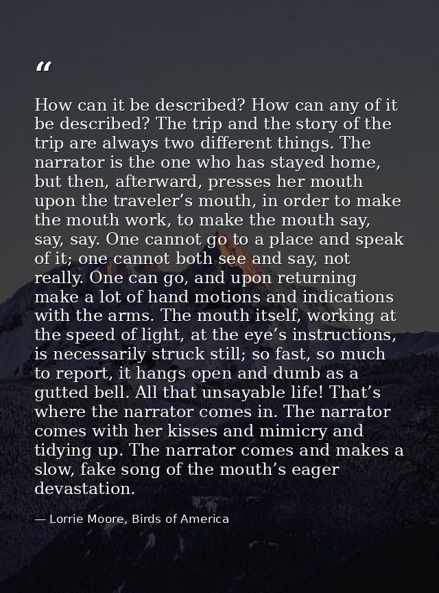 How can it be described? How can any of it be described? The trip and the story of the trip are always two different thi — Lorrie Moore, Birds of America