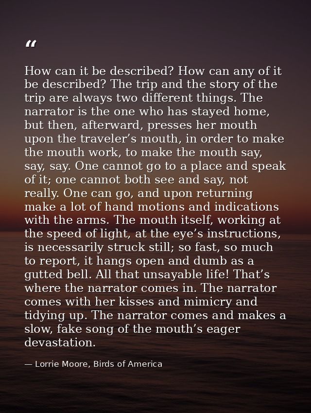 How can it be described? How can any of it be described? The trip and the story of the trip are always two different thi — Lorrie Moore, Birds of America