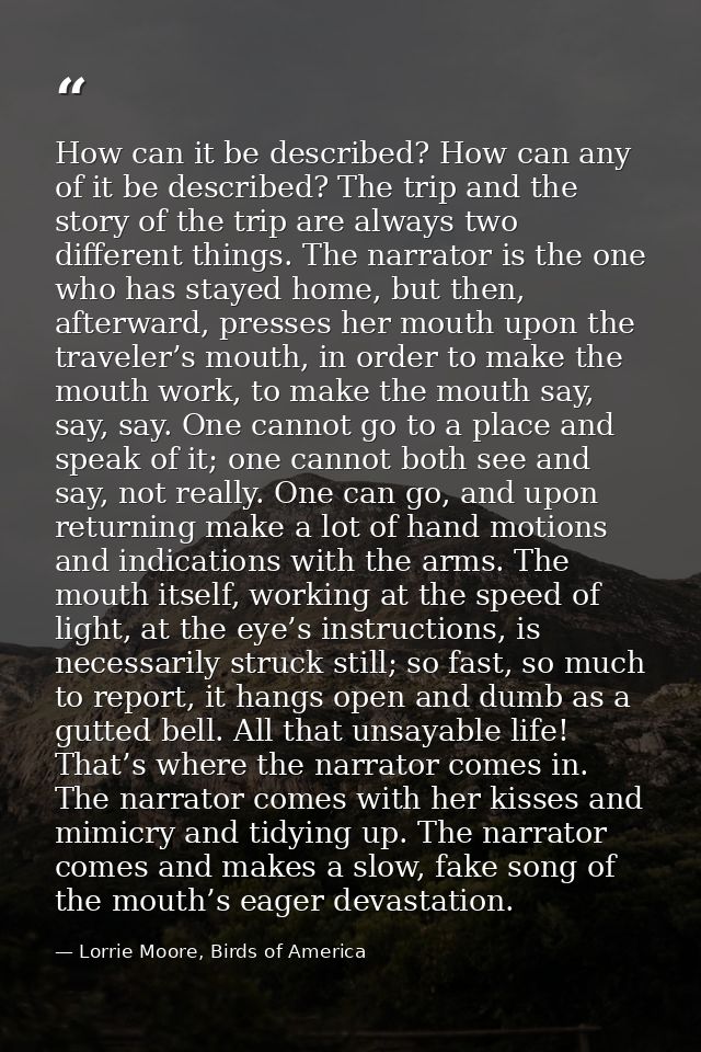 How can it be described? How can any of it be described? The trip and the story of the trip are always two different thi — Lorrie Moore, Birds of America
