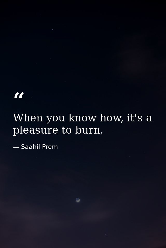 When you know how, it's a pleasure to burn. — Saahil Prem
