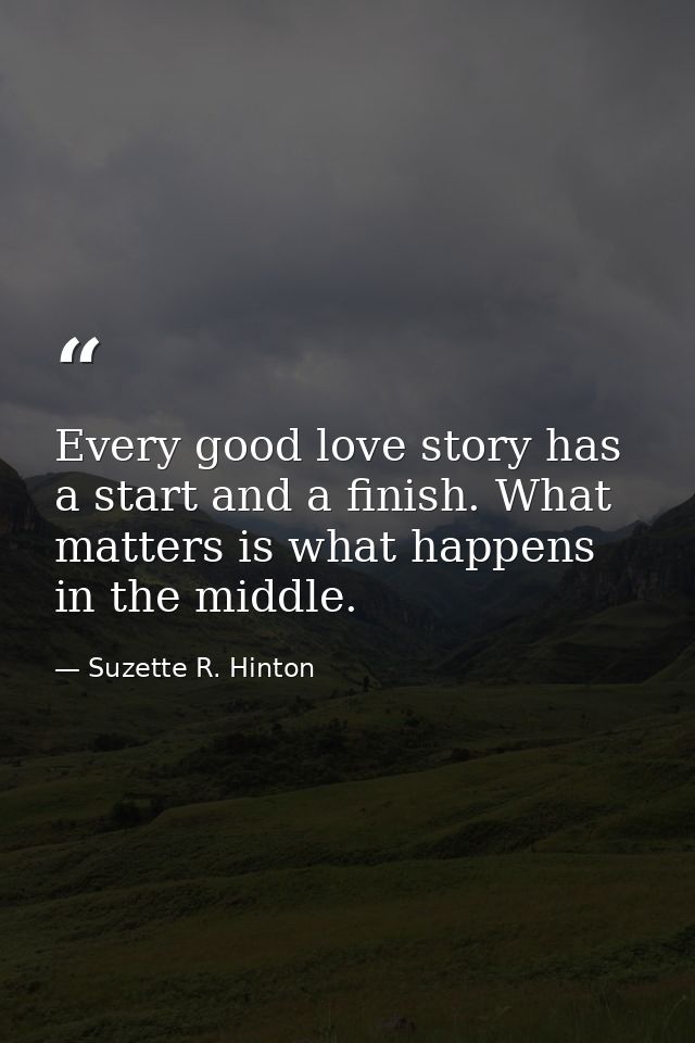 Every good love story has a start and a finish. What matters is what happens in the middle. — Suzette R. Hinton