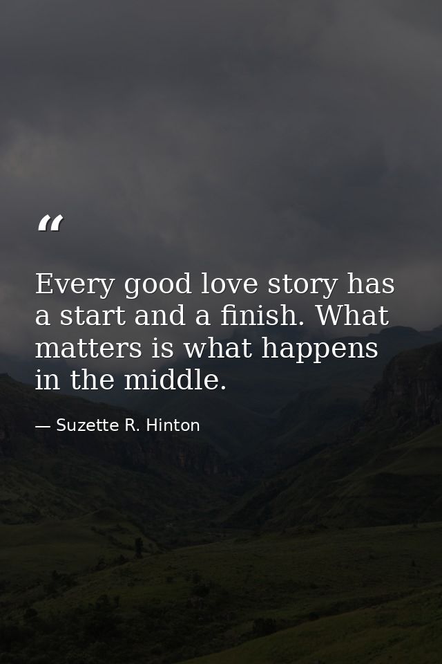 Every good love story has a start and a finish. What matters is what happens in the middle. — Suzette R. Hinton